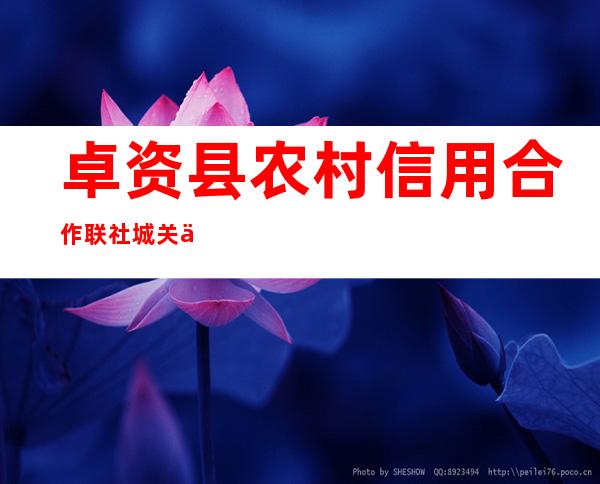 卓资县农村信用合作联社城关丁字街分社