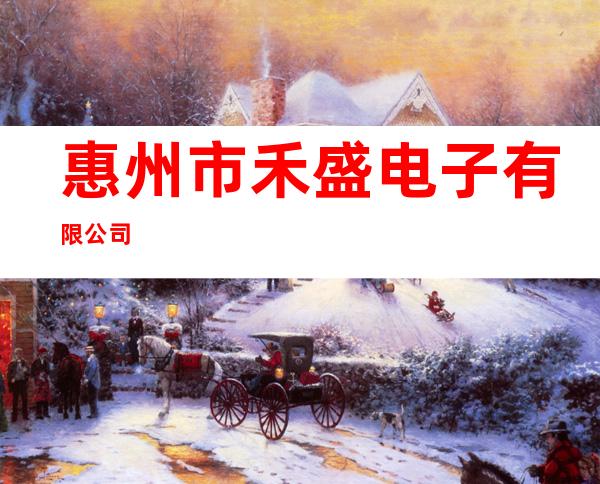 惠州市禾盛电子有限公司