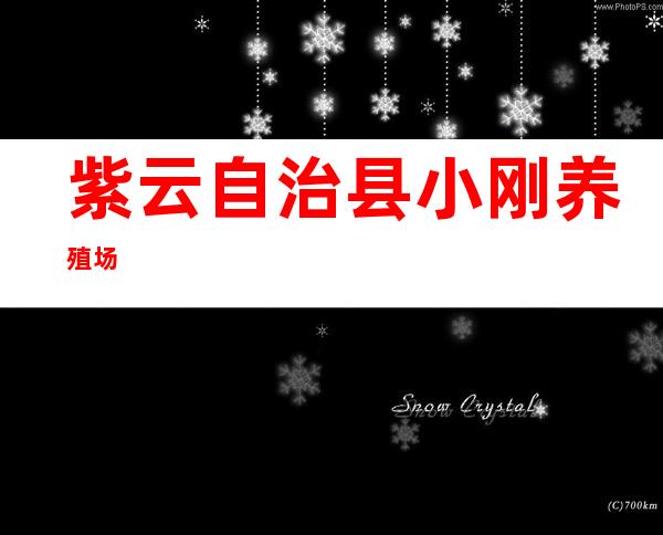 紫云自治县小刚养殖场