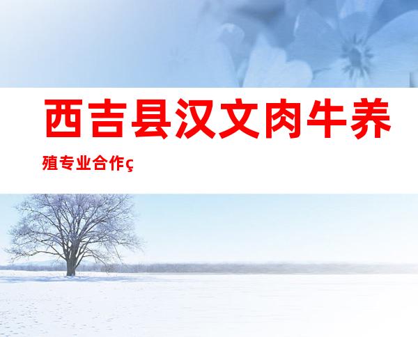 西吉县汉文肉牛养殖专业合作社