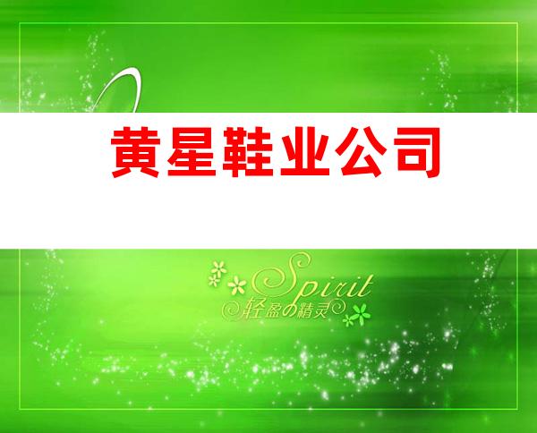 黄星鞋业公司